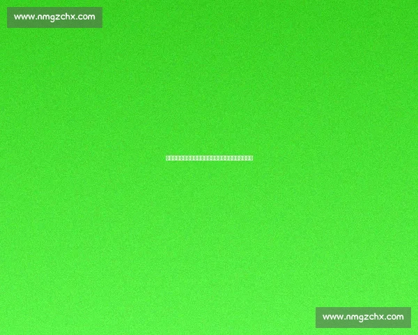 赵芸蕾力荐湖北数字体育运动会：科技点燃全民运动热情