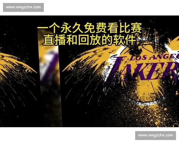 湖人对决热火完整版直播全程回放赛前分析与精彩看点汇总深度解读