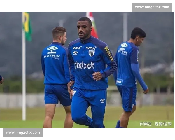 巴甲焦点对决帕尔梅拉斯主场迎战阿瓦伊争夺关键三分走势分析