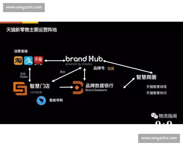 自由vs天猫新零售生态竞争格局与平台价值深度解析未来趋势洞察