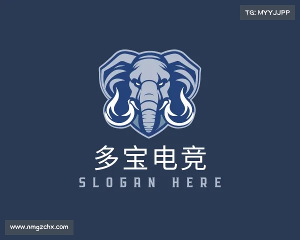 了解&#x591a;&#x5b9d;&#x7535;&#x7ade;